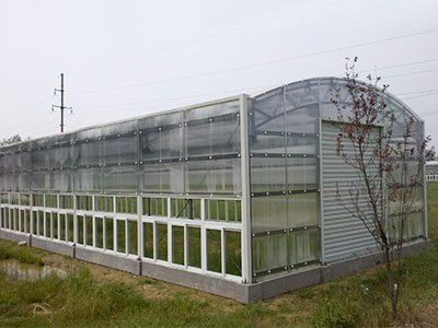 陽(yáng)光板溫室種類(lèi)